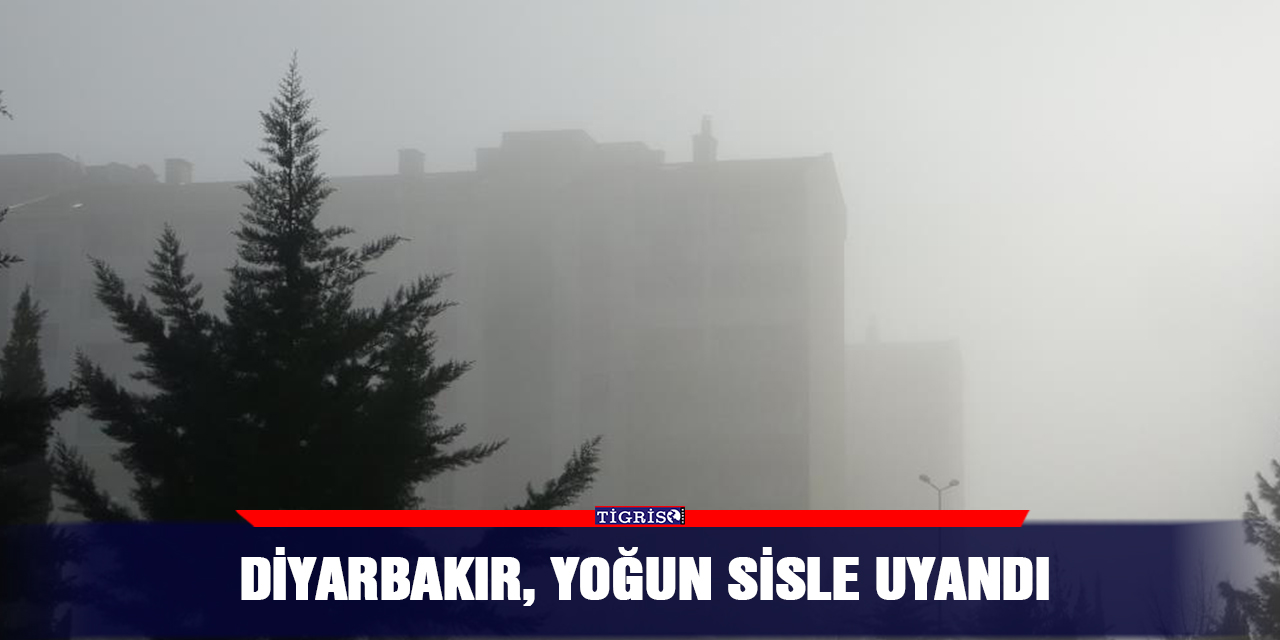 Diyarbakır, yoğun sisle uyandı