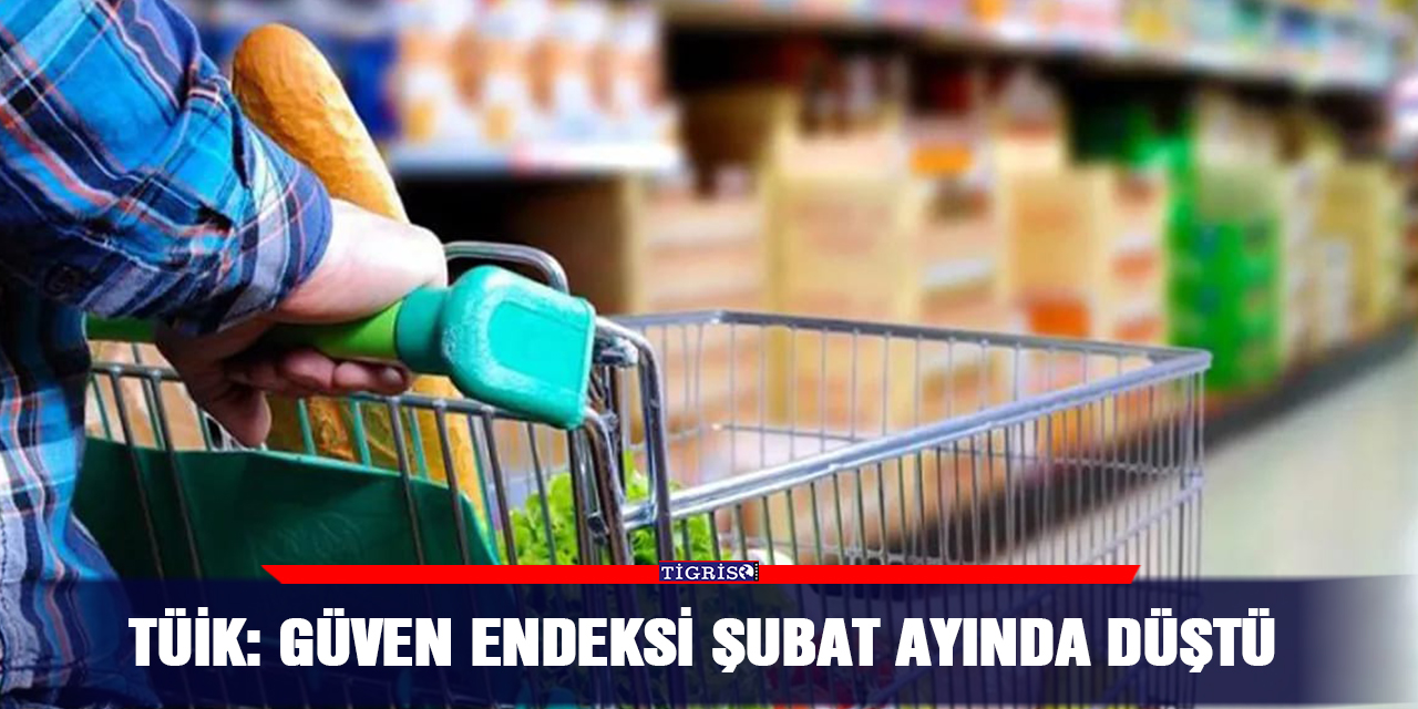 TÜİK: Güven endeksi Şubat ayında düştü