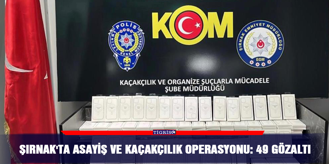 Şırnak'ta asayiş ve kaçakçılık operasyonu: 49 gözaltı