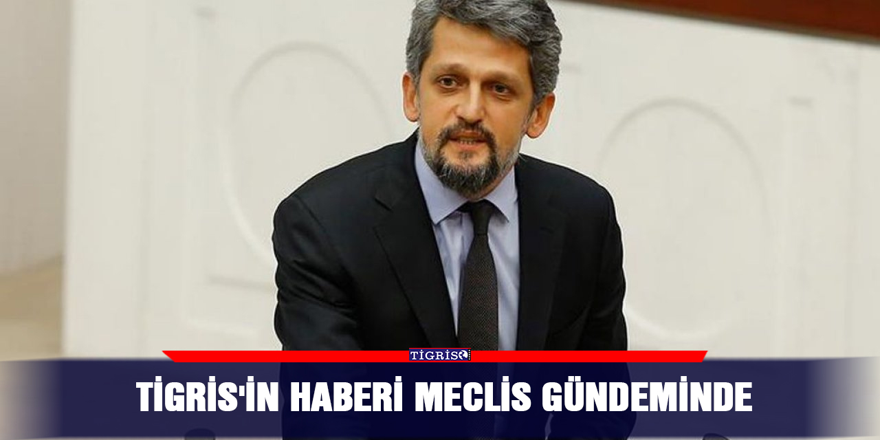 Tigris'in haberi Meclis gündeminde