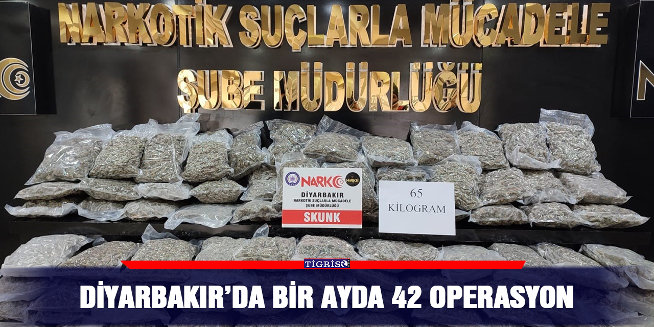 Diyarbakır’da bir ayda 42 operasyon