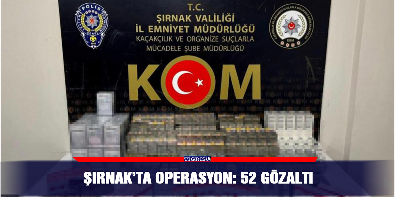 Şırnak’ta operasyon: 52 gözaltı