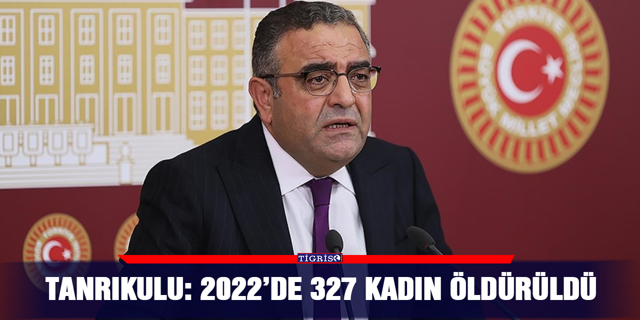 VİDEO - Tanrıkulu: 2022’de 327 kadın öldürüldü