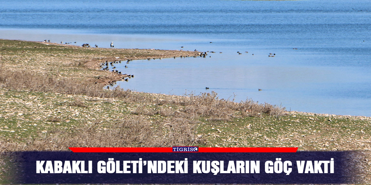 Kabaklı Göleti’ndeki kuşların göç vakti