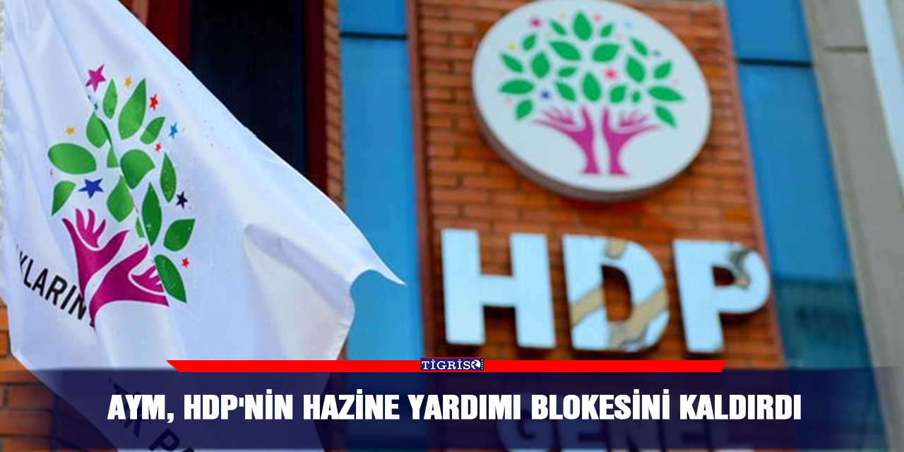 AYM, HDP'nin Hazine yardımı blokesini kaldırdı