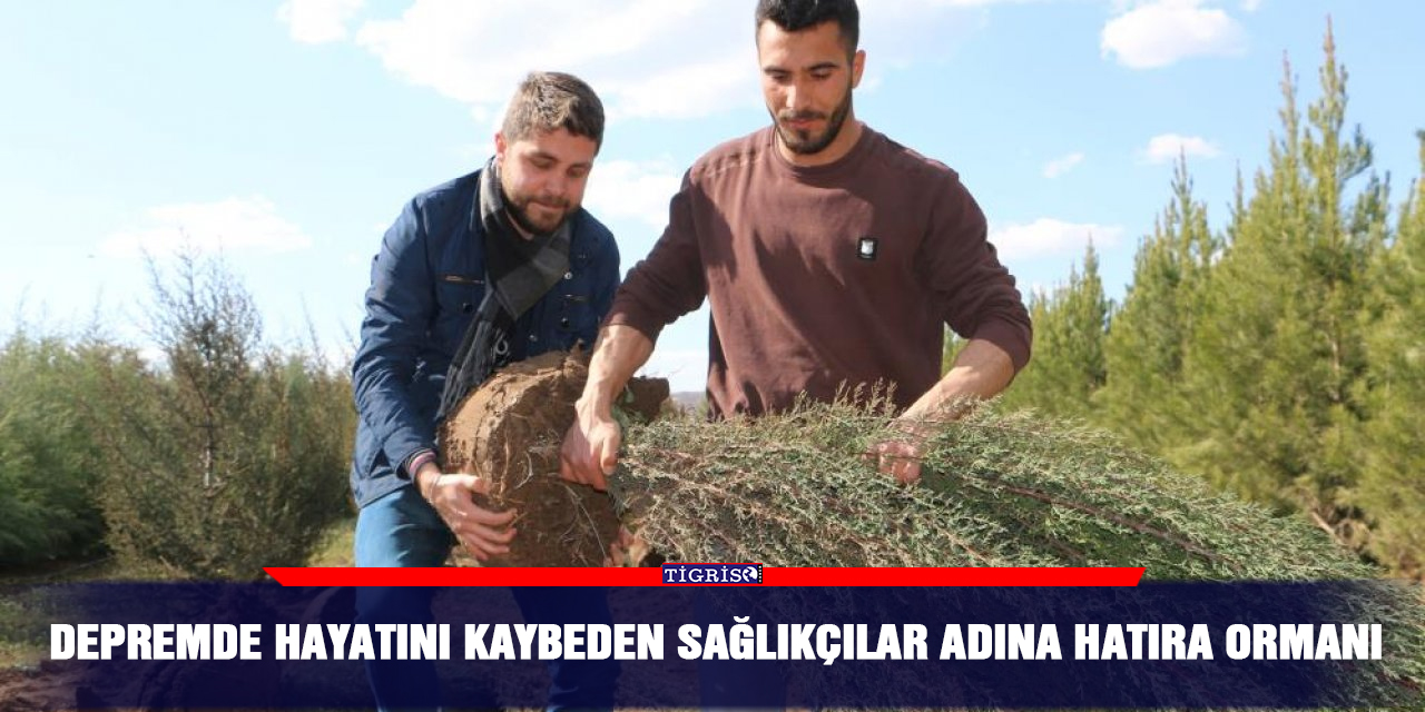 Depremde hayatını kaybeden sağlıkçılar adına hatıra ormanı