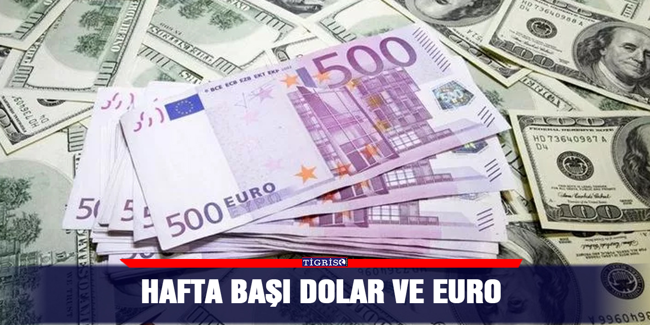 Hafta başı dolar ve euro