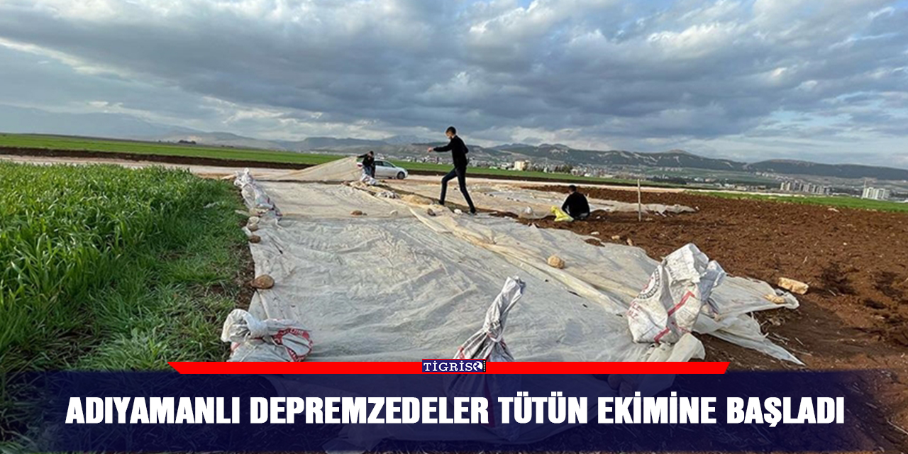 Adıyamanlı depremzedeler tütün ekimine başladı