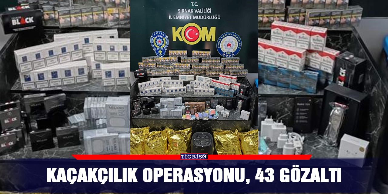 Kaçakçılık operasyonu: 43 gözaltı