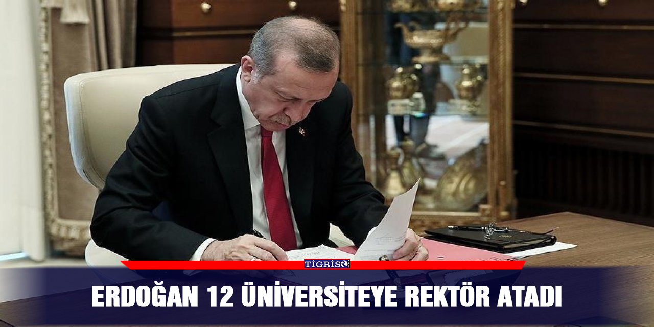 Erdoğan 12 üniversiteye rektör atadı