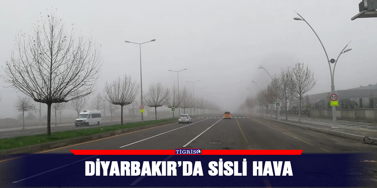 VİDEO - Diyarbakır’da sisli hava