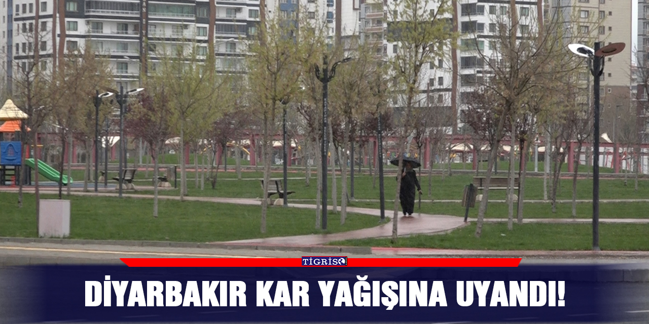 VİDEO - Diyarbakır kar yağışına uyandı!