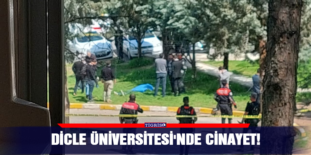 VİDEO - Dicle Üniversitesi'nde cinayet!