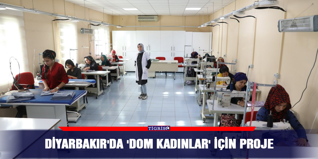 Diyarbakır'da 'Dom Kadınlar' için proje
