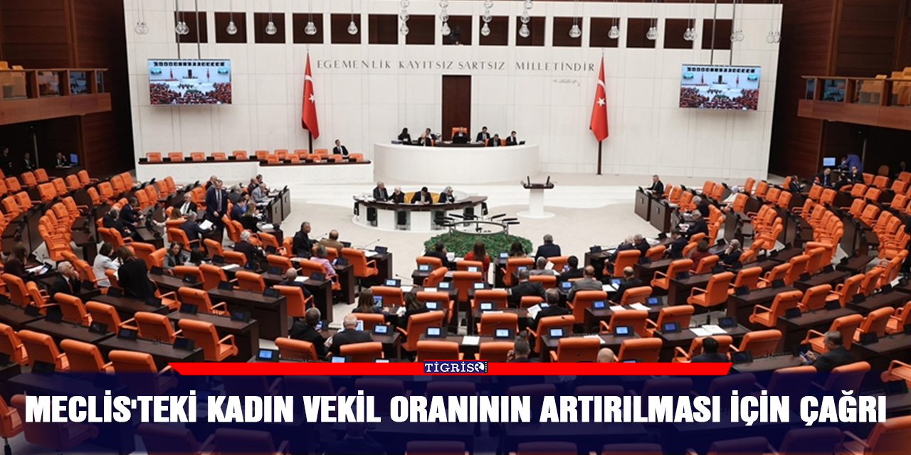 Meclis'teki kadın vekil oranının artırılması için çağrı