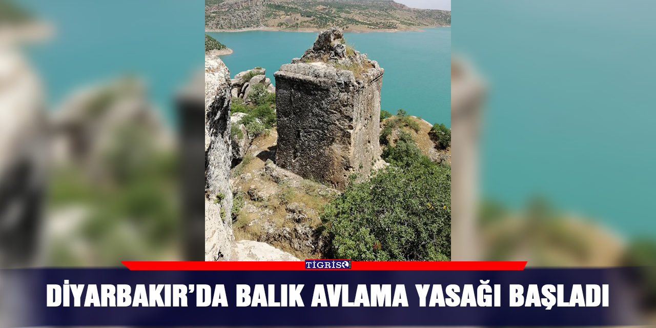 Diyarbakır’da balık avlama yasağı başladı