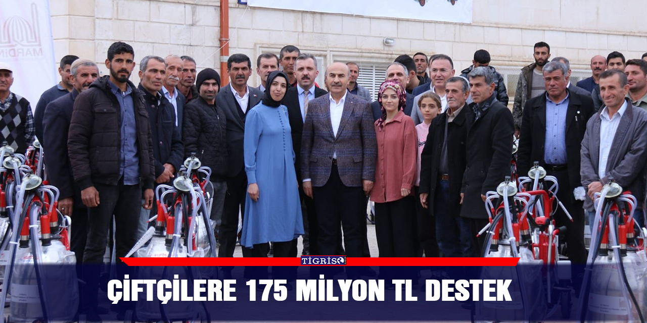 Çiftçilere 175 milyon TL destek