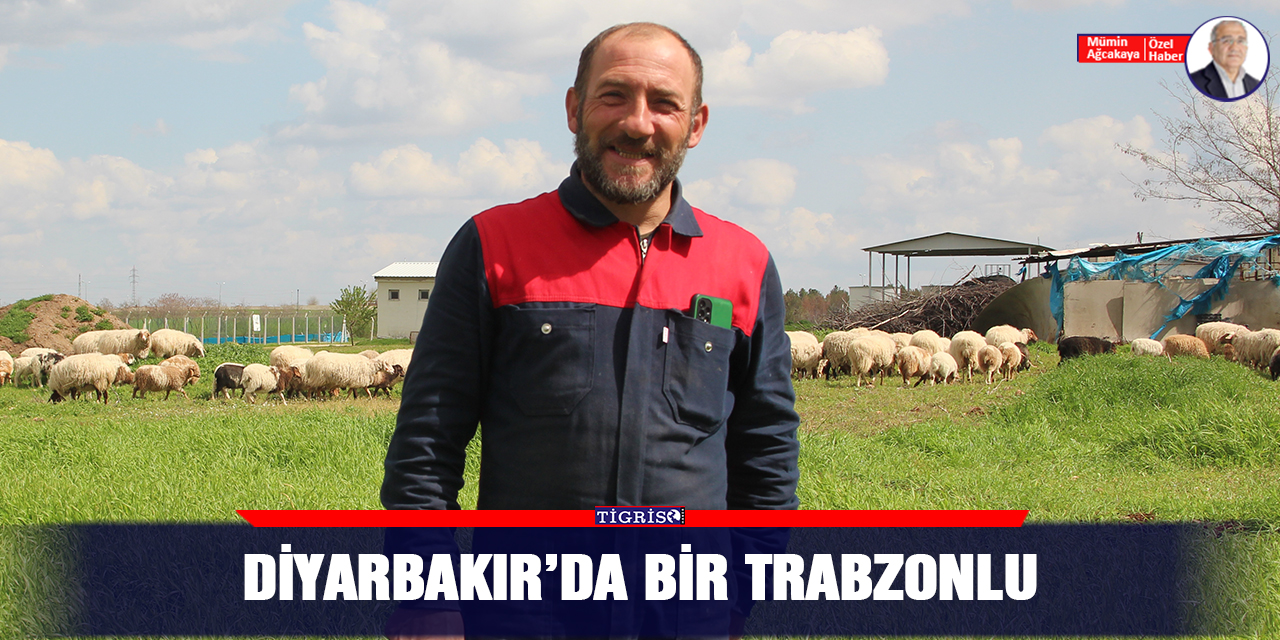 VİDEO - Diyarbakır’da bir Trabzonlu