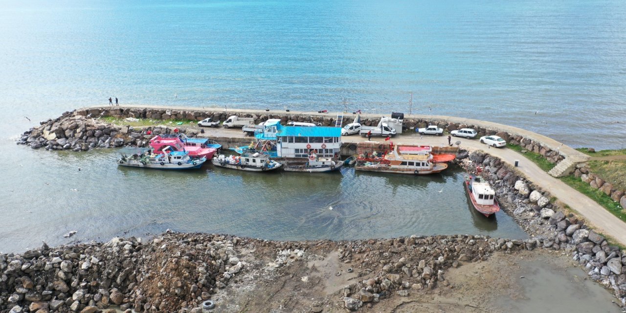 İnci Kefali av yasağı başladı