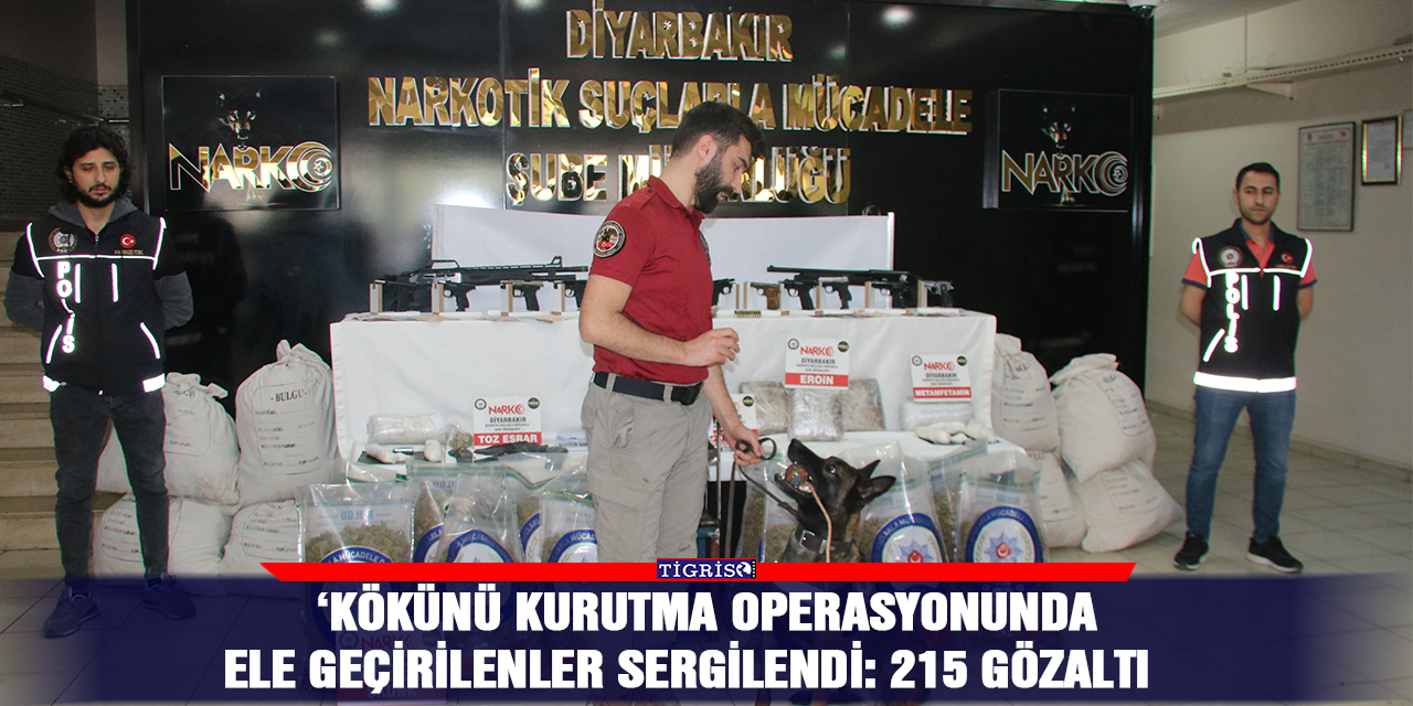 ‘Kökünü Kurutma Operasyonunda ele geçirilenler sergilendi: 215 gözaltı