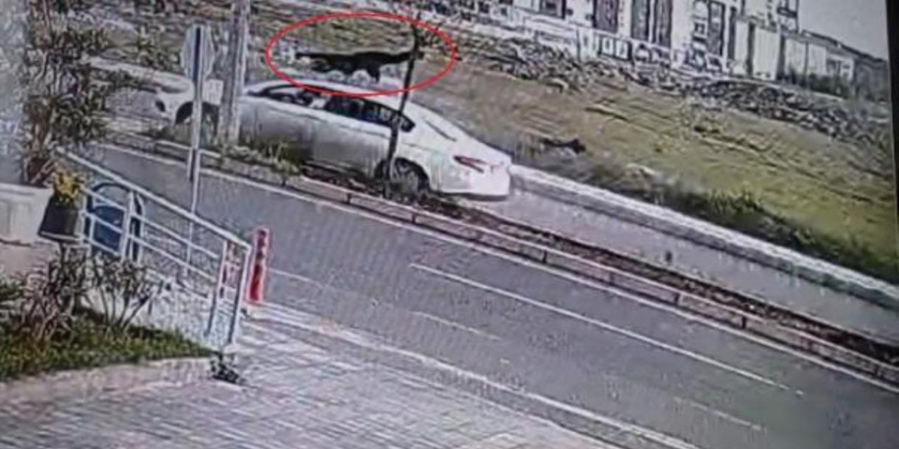 Diyarbakır'da otomobilin çarptığı kadın hayatını kaybetti