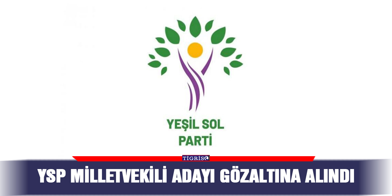 YSP Milletvekili adayı gözaltına alındı