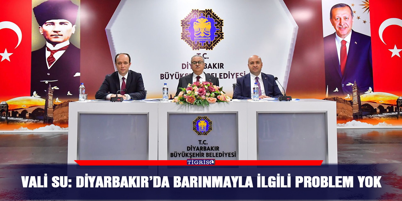 Vali Su: Diyarbakır’da barınmayla ilgili problem yok