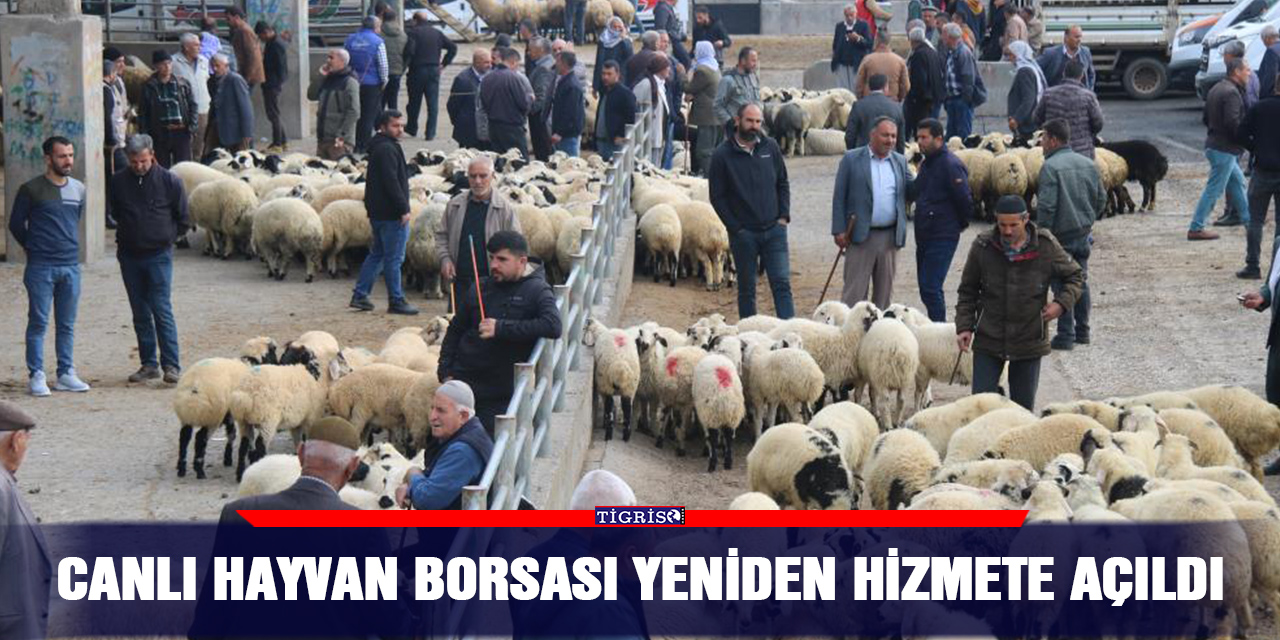 Canlı Hayvan Borsası yeniden hizmete açıldı
