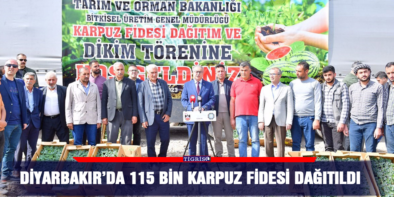 Diyarbakır’da 115 bin karpuz fidesi dağıtıldı