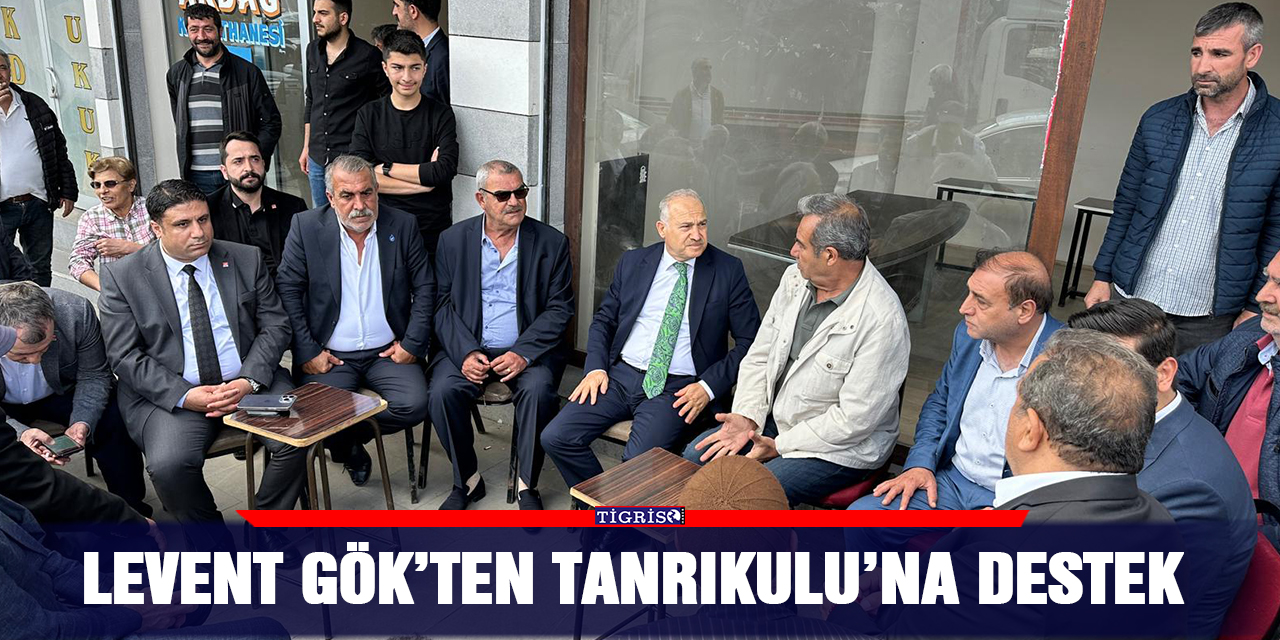 Levent Gök’ten Tanrıkulu’na destek