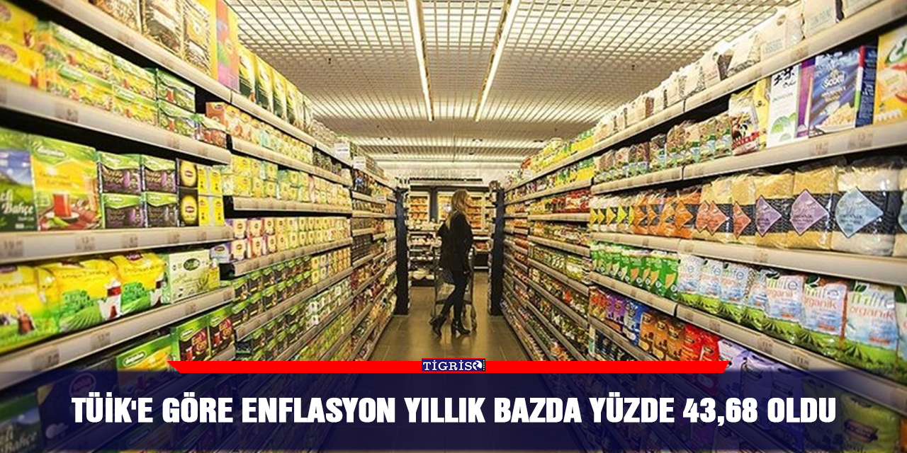TÜİK'e göre enflasyon yıllık bazda yüzde 43,68 oldu