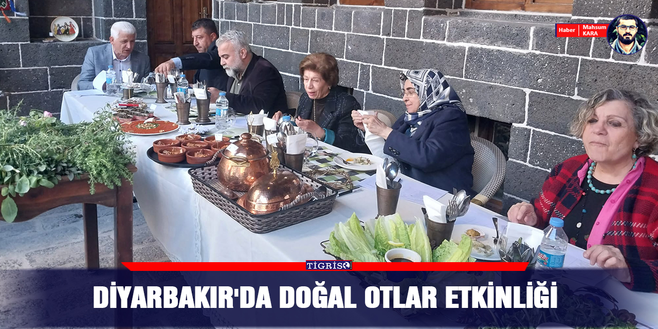 VİDEO - Diyarbakır'da Doğal Otlar etkinliği