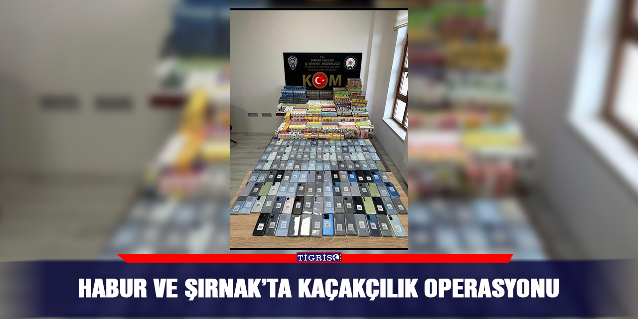 Habur ve Şırnak’ta kaçakçılık operasyonu