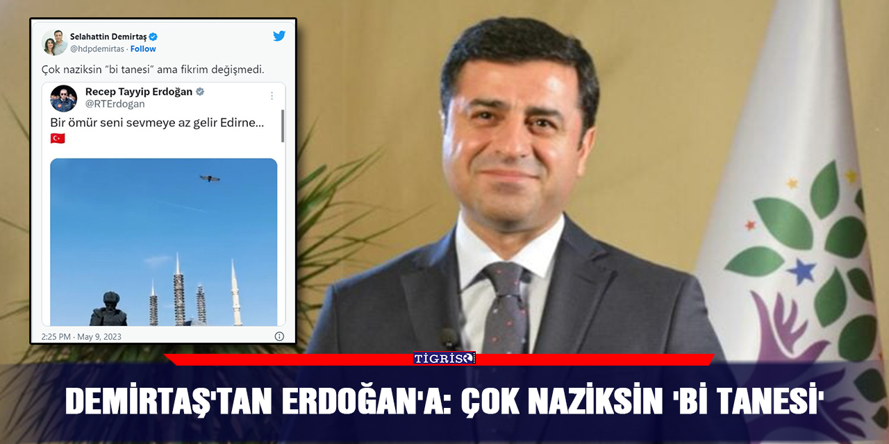Demirtaş'tan Erdoğan'a: Çok naziksin 'bi tanesi'