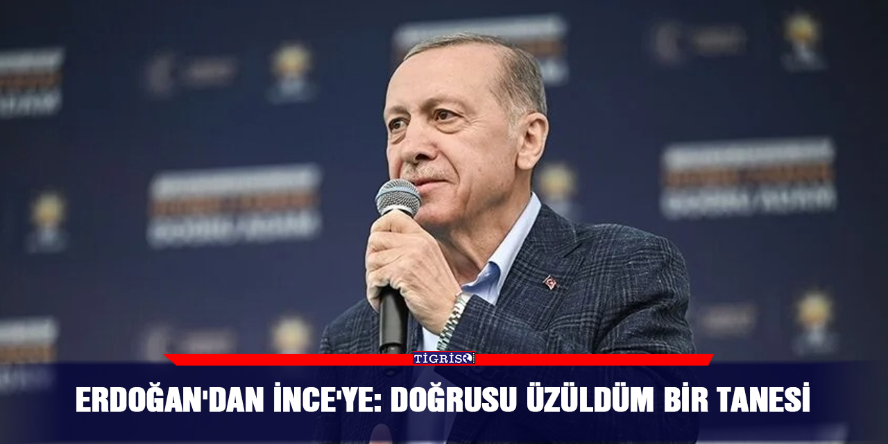 Erdoğan'dan İnce'ye: Doğrusu üzüldüm bir tanesi