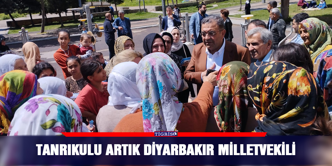 Tanrıkulu artık Diyarbakır Milletvekili