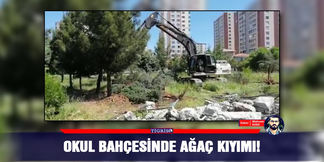 VİDEO - Okul bahçesinde ağaç kıyımı!