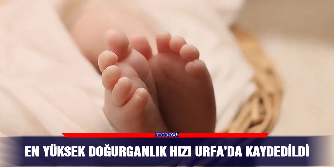 En yüksek doğurganlık hızı Urfa’da kaydedildi