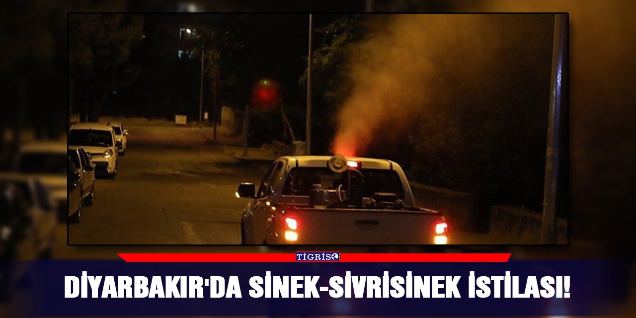 Diyarbakır'da sinek-sivrisinek istilası!