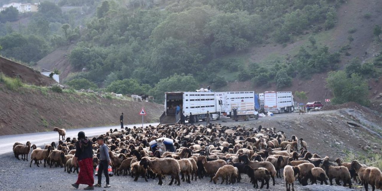 Koçerler yine yayla yolunda