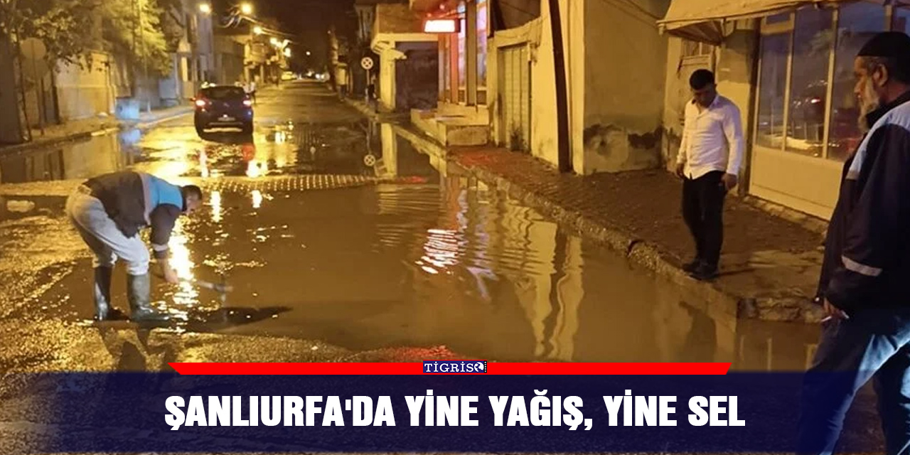 Şanlıurfa'da yine yağış, yine sel