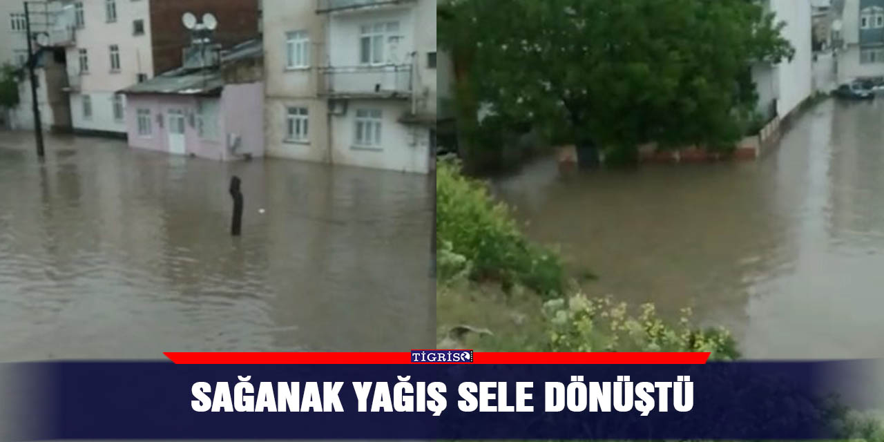 Sağanak yağış sele dönüştü