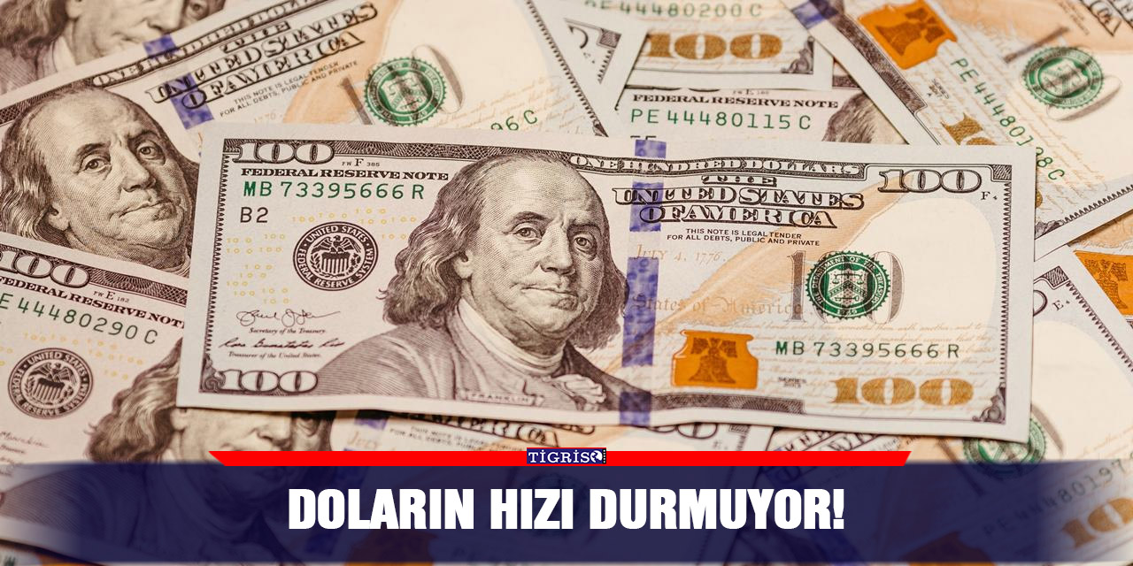 Doların hızı durmuyor!