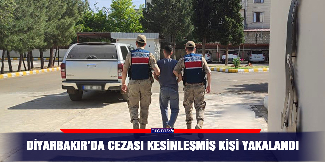 Diyarbakır’da cezası kesinleşmiş kişi yakalandı