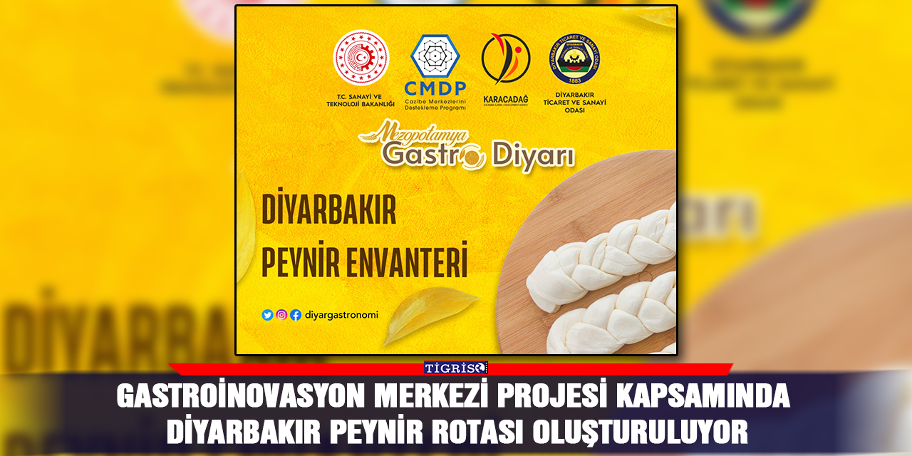 Gastroİnovasyon Merkezi projesi kapsamında Diyarbakır peynir rotası oluşturuluyor