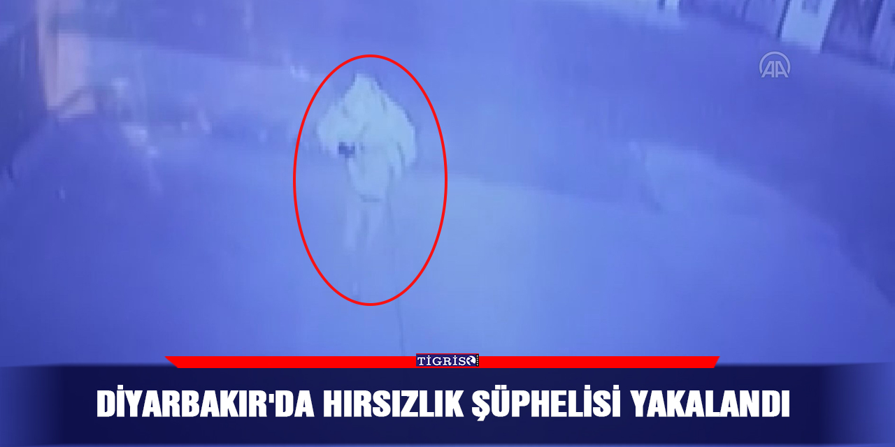 Diyarbakır'da hırsızlık şüphelisi yakalandı