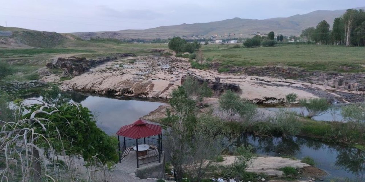 İnci kefali tehlike altında