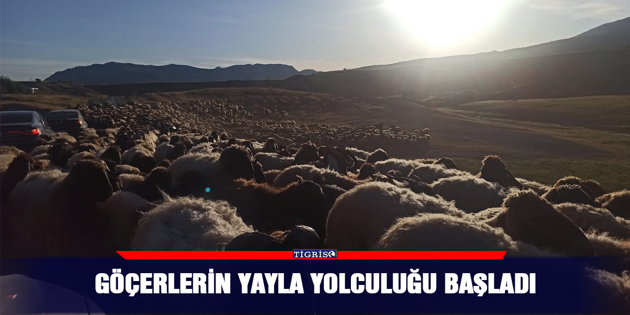 Göçerlerin yayla yolculuğu başladı