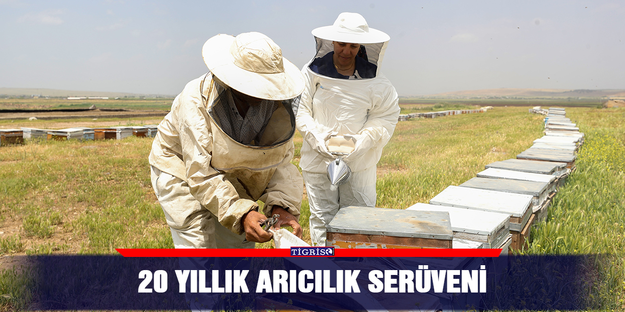 20 yıllık arıcılık serüveni