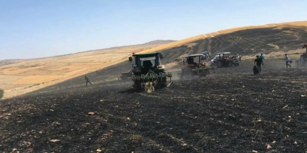 Diyarbakır’da 100 dönümlük buğday kül oldu